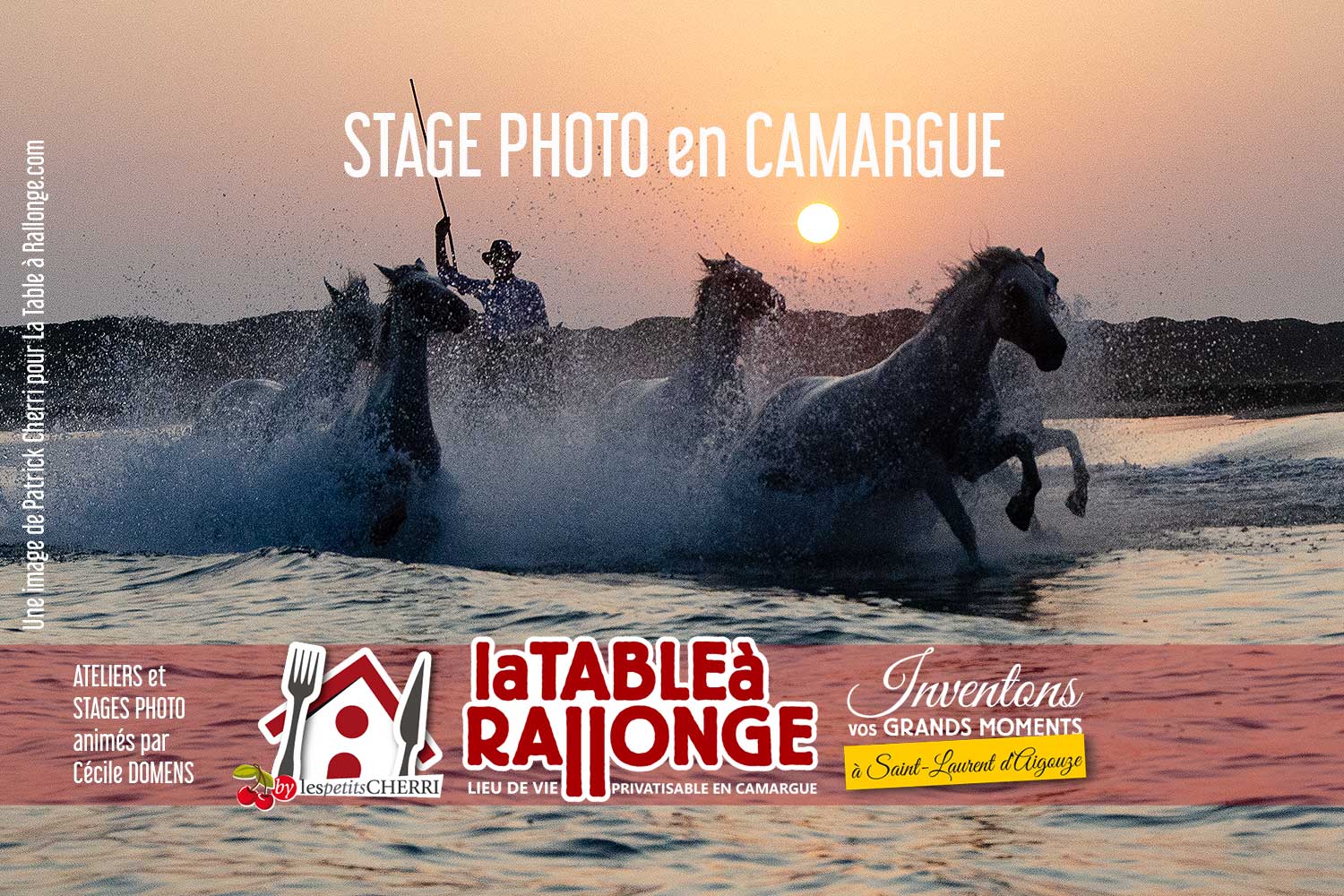 Stages et ateliers de photos en Camargue, hébergements spécialisés pour photographes en Camargue